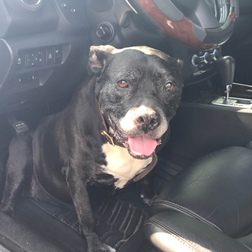 Meet your Posher, Jenni